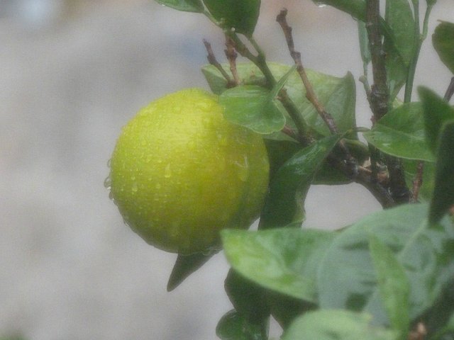 Кусочки моей Греции — Болталка и разговоры обо всем: жизнь