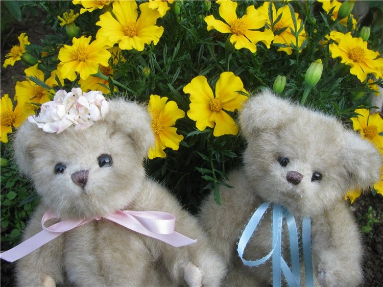 Моя семейка плюшевых мишек Bearington