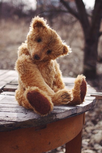 Старый забытый друг | Бэйбики Старый забытый друг — Авторские мишки Тедди и друзья: фото (фото 6)