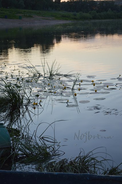 Вихтели в Тарусе. Леон и Кристель от Schildkroet