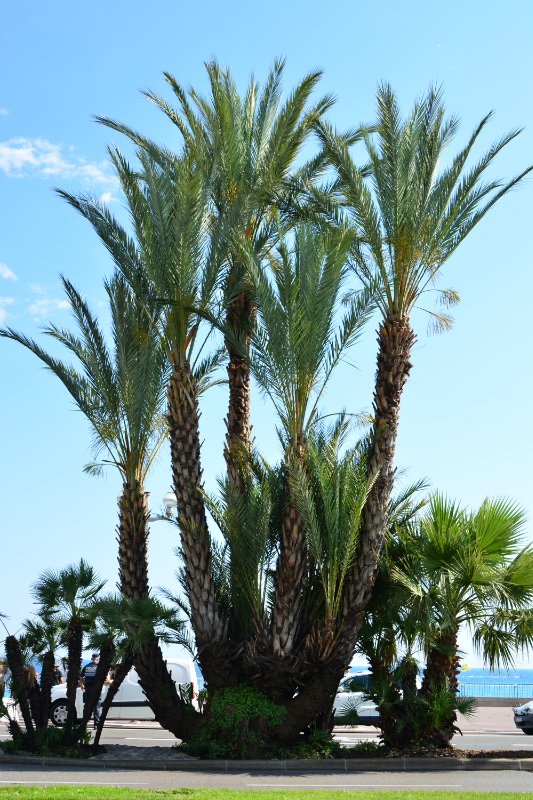 Ницца, Марсель, море и горы