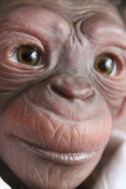 Гога, он же Гоша,он же Гора, он же Жора, здесь проживает? кукла реборн Элины Кудрявцевой