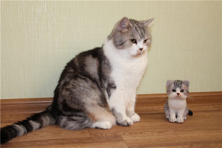 Котик Дени. Авторская игрушка Анны Ястрежембовской