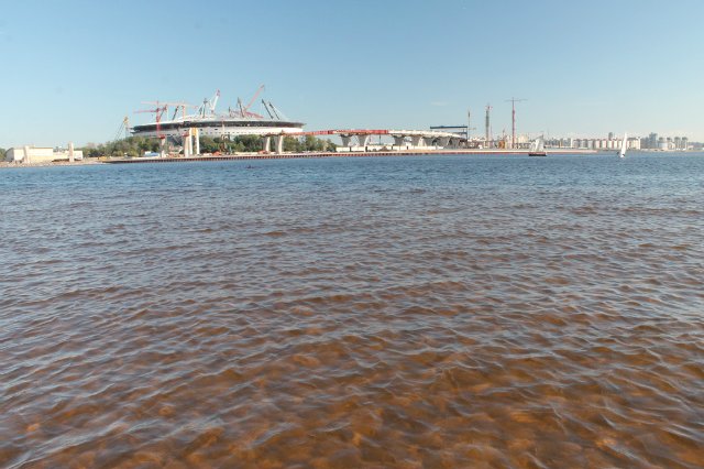 Парк 300-летия Петербурга. Летняя прогулка с Мишелем. Очень много фото