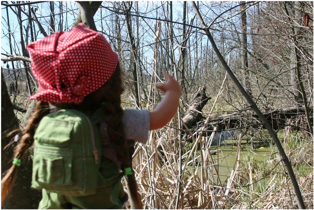 Небольшой поход Вихтелят на Ирдынские болота (фото 7)