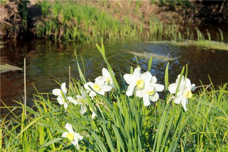 Субботний вояж. Заключительная часть