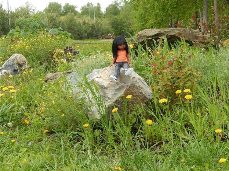 О том, как я немного ''флэшмобнулась")) (фото 5)