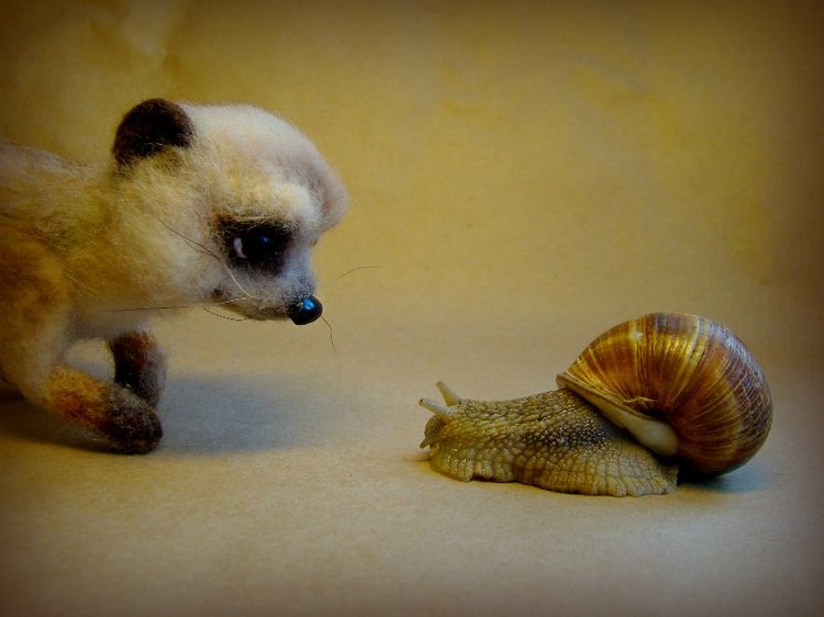 Сурикат. Авторская игрушка валянием из шерсти Ольги Чернухо (фото 3)