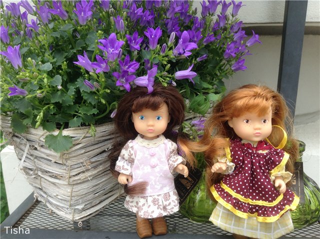 Малышки Sarah Key — Другие мини