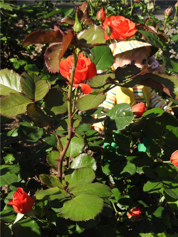 Любителям маленьких кукол