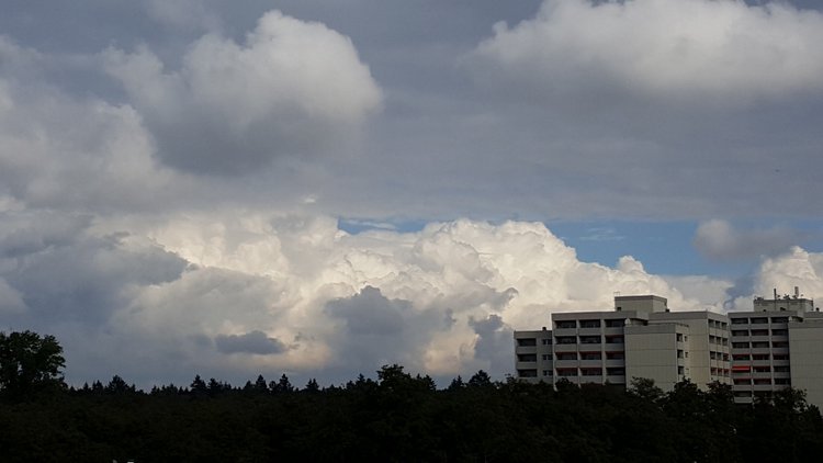 Вид из моего окна, KARLSRUHE