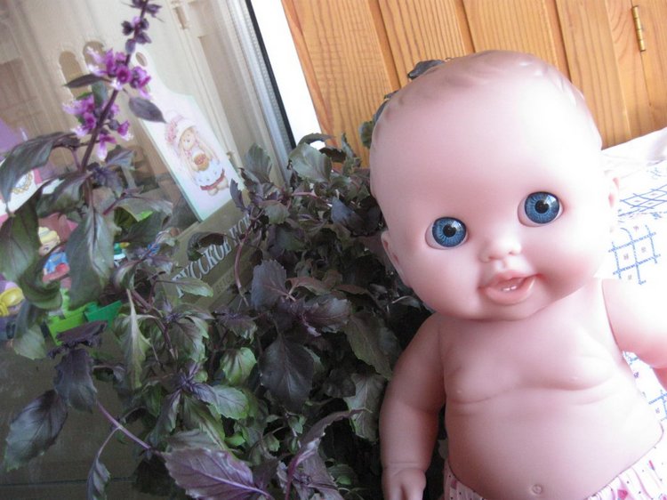 Глазастик и другие куколки