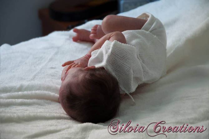 Новый молд Will от Натали Шолль