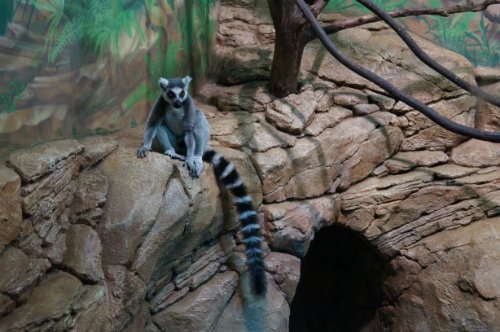 Воронежский океанариум — Туризм и путешествия: фотоотчеты из поездок