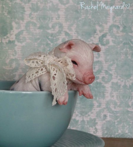 Зверятки-реборнятки — Молды и прототипы Реборн (Reborn): новинки