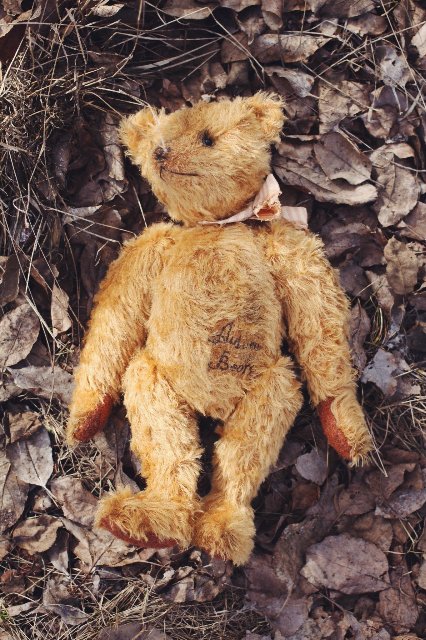 Старый забытый друг | Бэйбики Старый забытый друг — Авторские мишки Тедди и друзья: фото (фото 4)