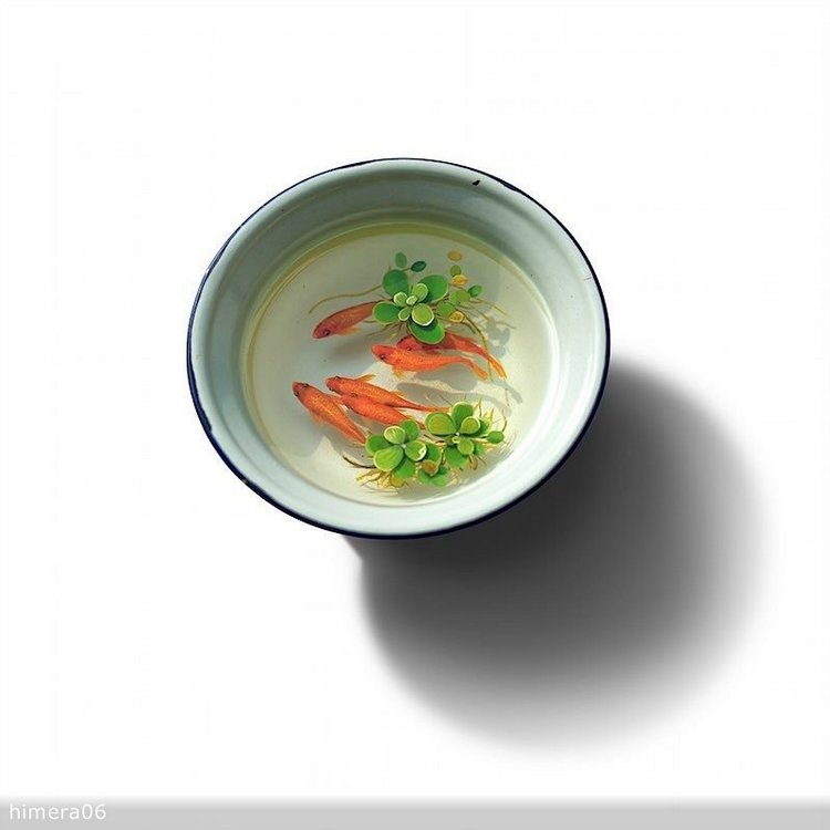 Живопись акрилом и лаком от Кенга Лая (Keng Lye) (фото 4)