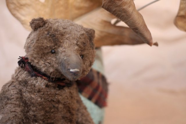 Старенький мишка Анис. Авторская игрушка Татьяны Матляк (фото 10)