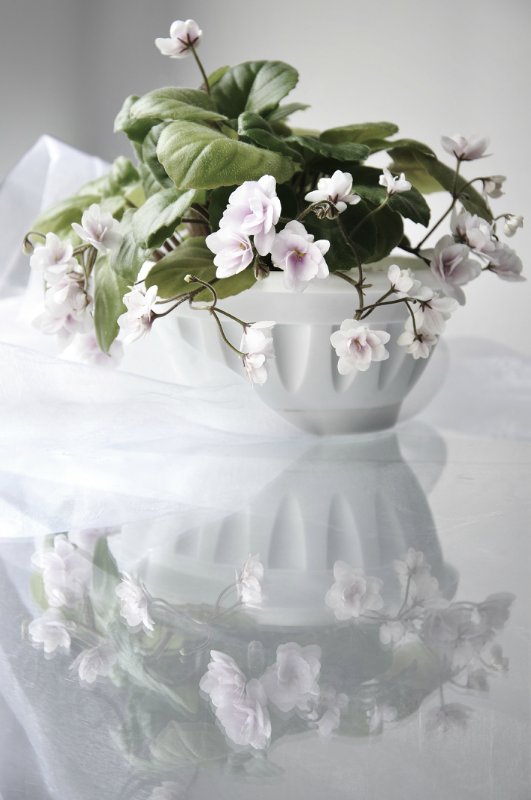 Еще немного о сумасшествии