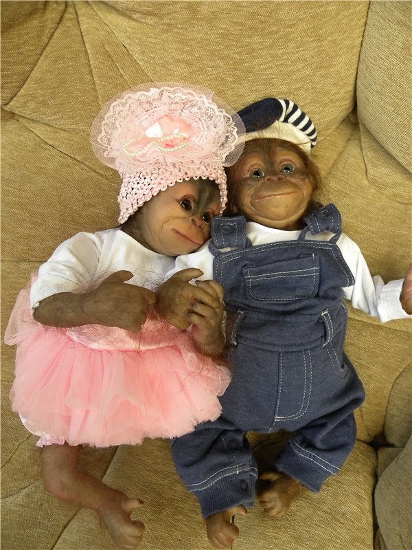 Необычное пополнение в моем доме (фото 8)