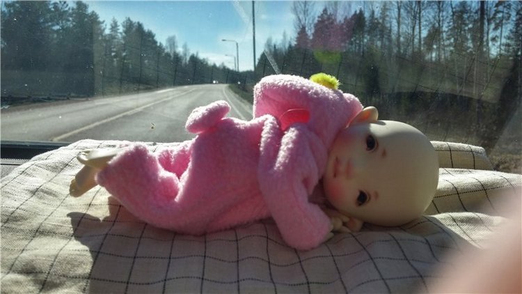 Дрюшка-путешественник! Весенние каникулы Финляндия, май (фото 7)