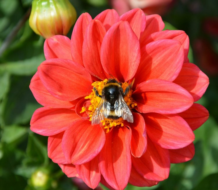 Охота на бабочек — Болталка и разговоры обо всем: жизнь