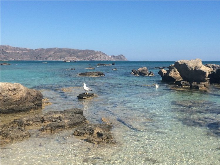 Путешествие в Грецию на о.Крит (Часть 1) | Бэйбики Путешествие в Грецию на о.Крит (Часть 1) (фото 9)