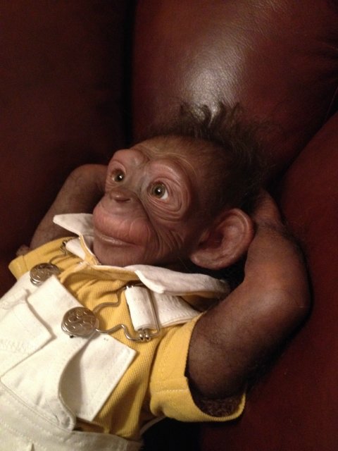 Гога, он же Гоша,он же Гора, он же Жора, здесь проживает? кукла реборн Элины Кудрявцевой