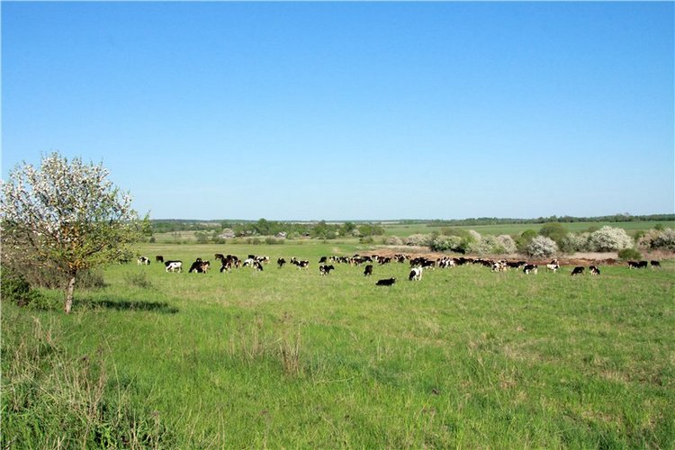 Субботний вояж. Заключительная часть