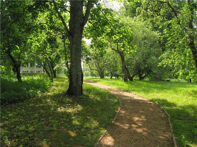 46-ой Пушкинский праздник поэзии в Берново. Часть первая