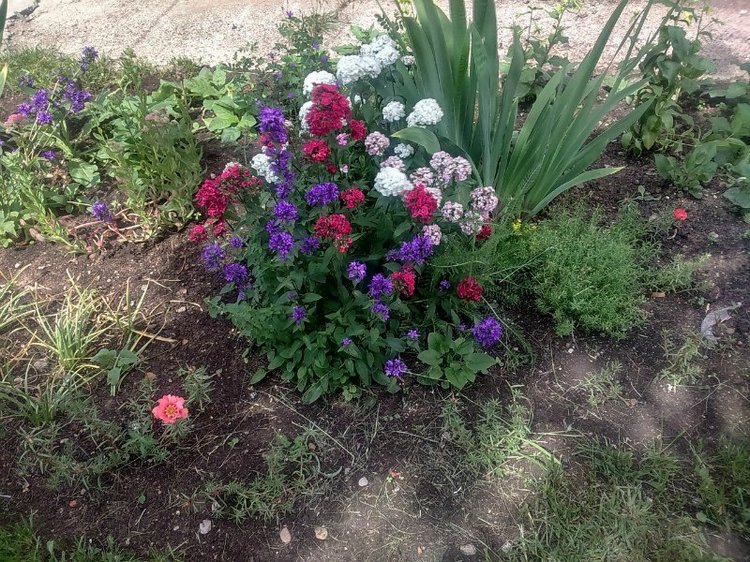 Воткинск — родина гения музыки Петра Ильича Чайковского. Часть 1