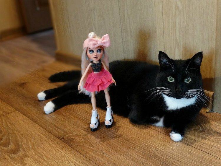 Мой цветочек, ещё одна перерисованная Братц