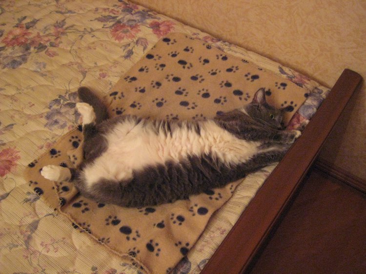 Семейный фотоальбом — Куклы Corolle (Королле): французские (фото 3)