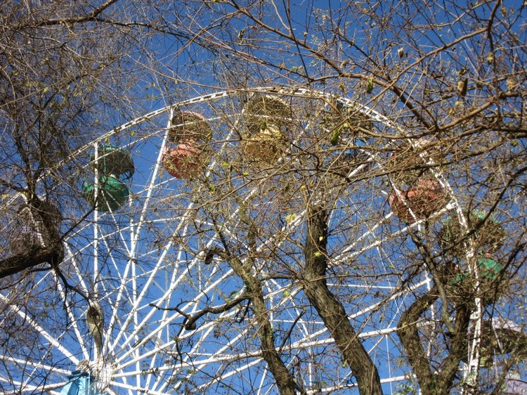 Утренняя прогулка в парке Горького с Соломоном и Анхен, или О сложностях гуляния с собакой и куклой одновременно