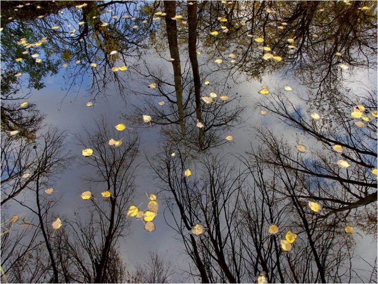Лучшие фото National Geographic