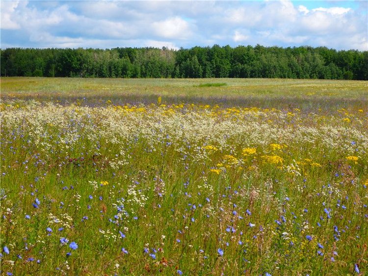 Башкирия , Охлебинино . Место , где отдыхает душа (фото 9)