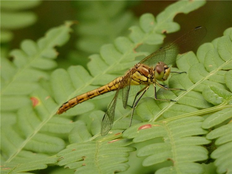 Башкирия , Охлебинино . Место , где отдыхает душа