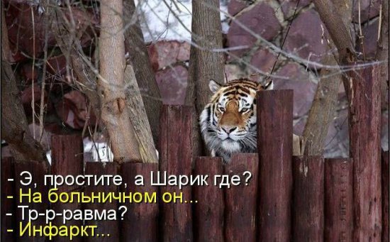 Просто добавь улыбку или пятничный девиз