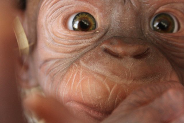 Гога, он же Гоша,он же Гора, он же Жора, здесь проживает? кукла реборн Элины Кудрявцевой