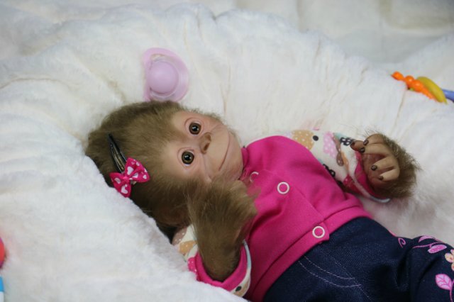 Мартышка - малышка... Куколка реборн Виктории Вишни