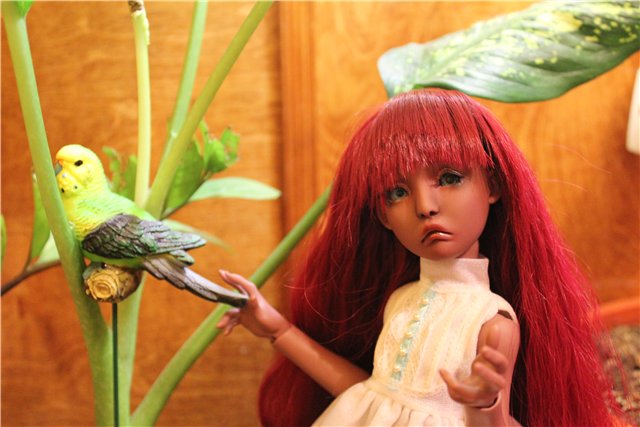 Просто Маня... Манон, Лилликэт