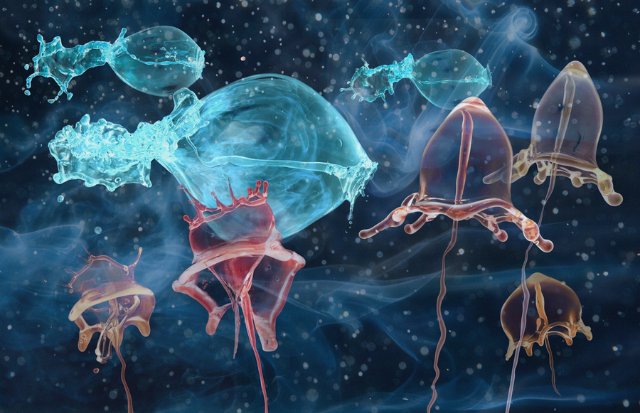 Капелька2 -ВСПЛЕСК- американский фотограф Джек Лонг | Бэйбики Капелька2 -ВСПЛЕСК- американский фотограф Джек Лонг