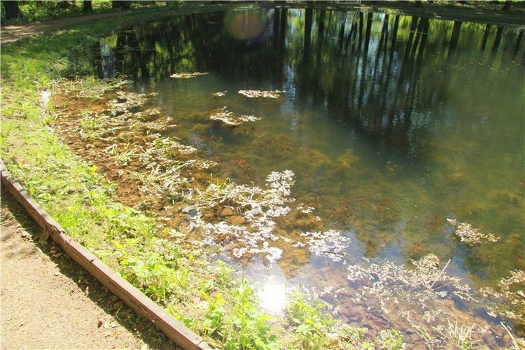 Субботний вояж. Часть вторая | Бэйбики Субботний вояж. Часть вторая