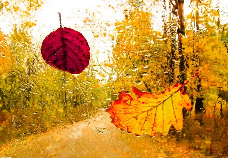 Красотка-осень — Болталка и разговоры обо всем: жизнь