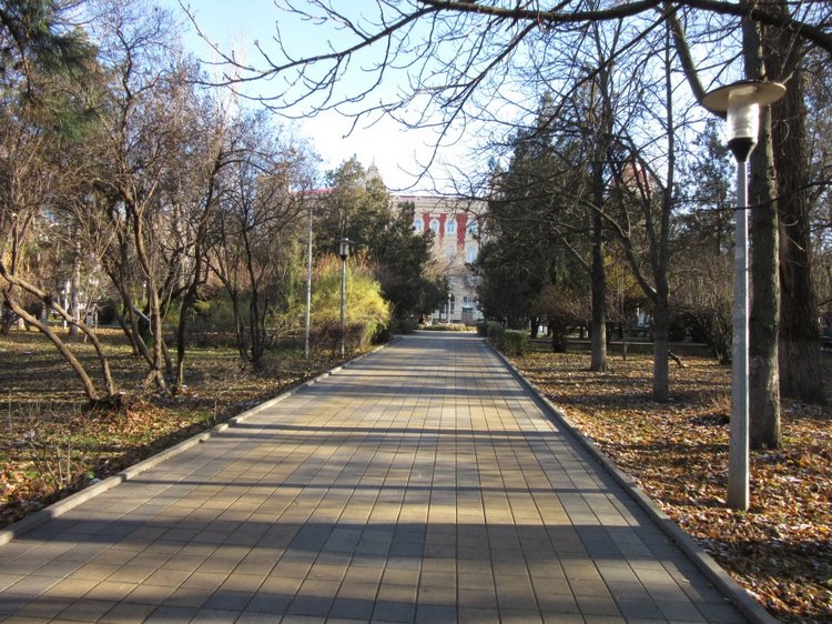 Утренняя прогулка в парке Горького с Соломоном и Анхен, или О сложностях гуляния с собакой и куклой одновременно