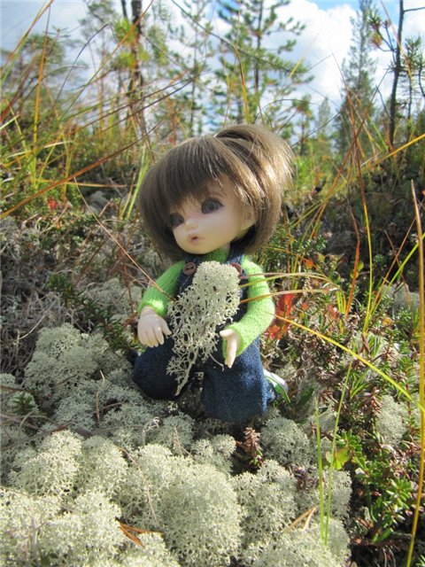 Как Майка за ягодами ходила. Кукла БЖД | Бэйбики Как Майка за ягодами ходила. Кукла БЖД (фото 2)