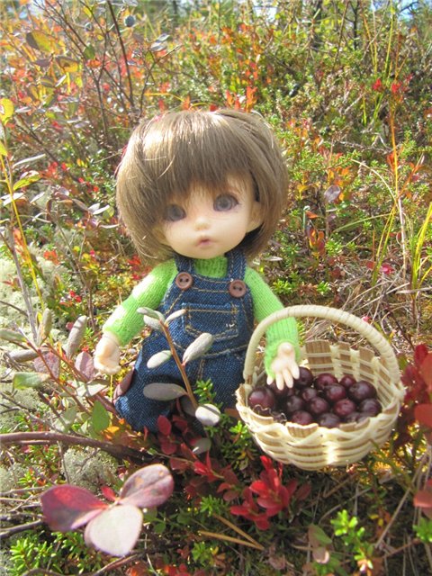 Как Майка за ягодами ходила. Кукла БЖД | Бэйбики Как Майка за ягодами ходила. Кукла БЖД (фото 8)