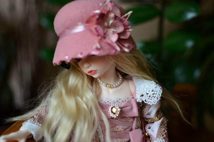 Лонни приехала. BJD Iplehouse