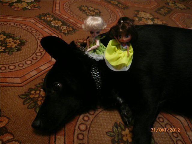 Хэллоуин. Вечеринка-ужастик