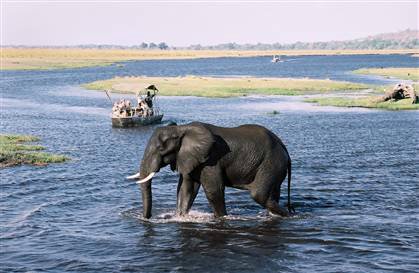 Ниа - африканская принцесса и ее подруги Ивочки сестрички и скромница Марджели (фото 6)